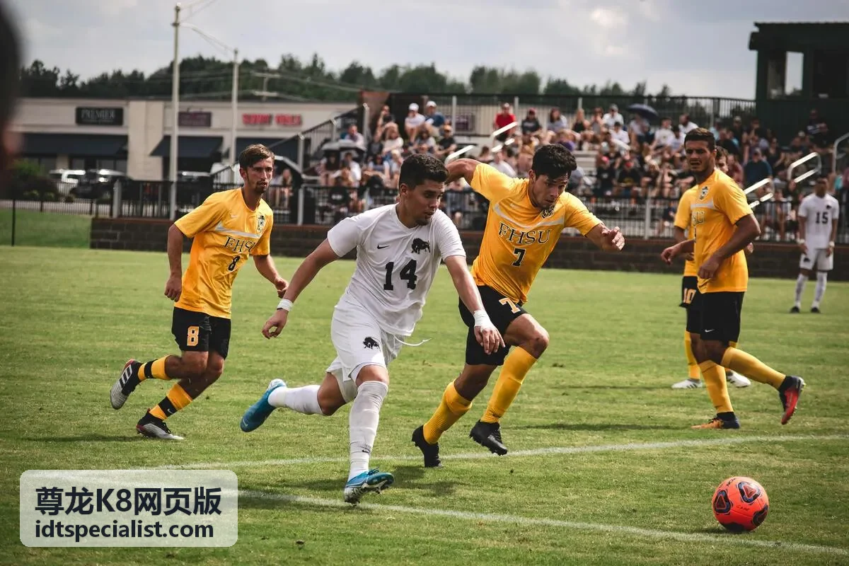 尊龙K8网页版异地登录提醒与设备管理